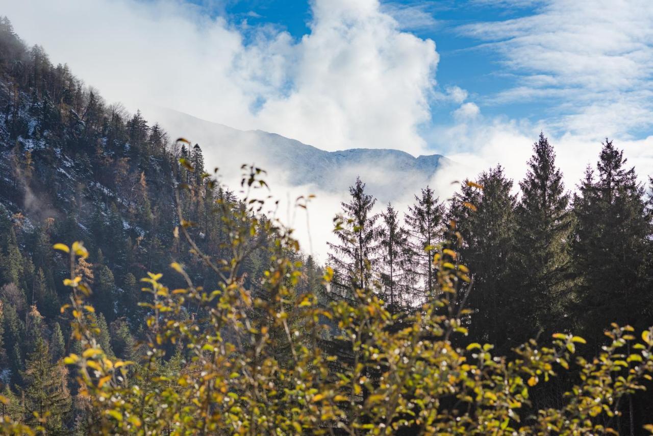 Chalets & Apartments Beim Waicher Ruhpolding Ngoại thất bức ảnh