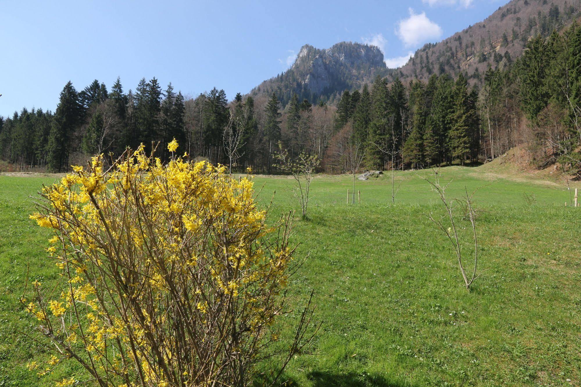 Chalets & Apartments Beim Waicher Ruhpolding Ngoại thất bức ảnh